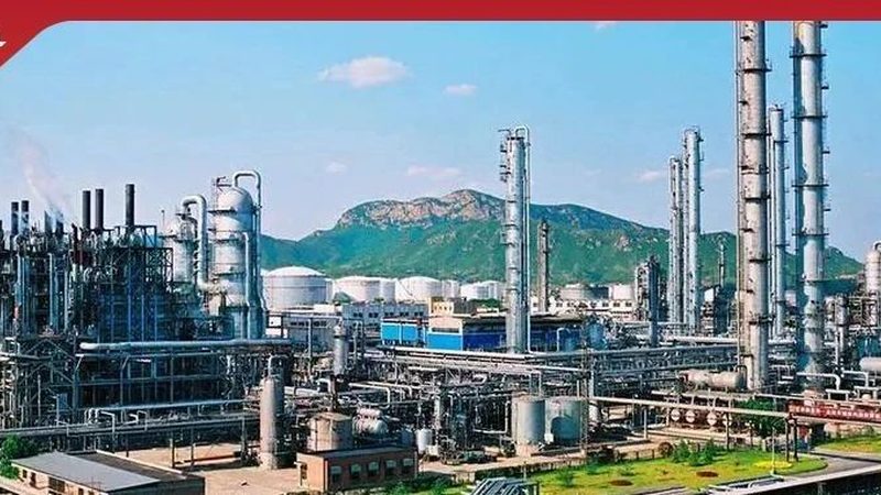 精细化工药剂在自来水厂中主要用于以下几个方面：